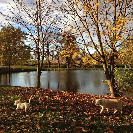 Chotol Горомержице